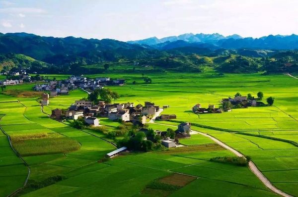 四川農(nóng)業(yè)規(guī)劃公司